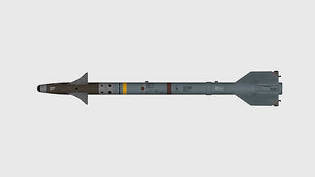 rksl_prev_aam_aim9.jpg